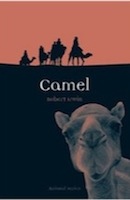 Camel by Robert Irwin