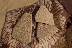 You can find pottery fragments like this all over the Sahara...