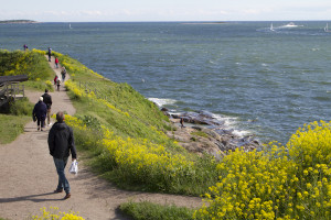 Walking around the windswept defences of Suomenlinna Island...