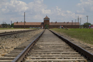 Cattle cars filled with people would enter through that gate at Birkenau and stop at the selection point... 